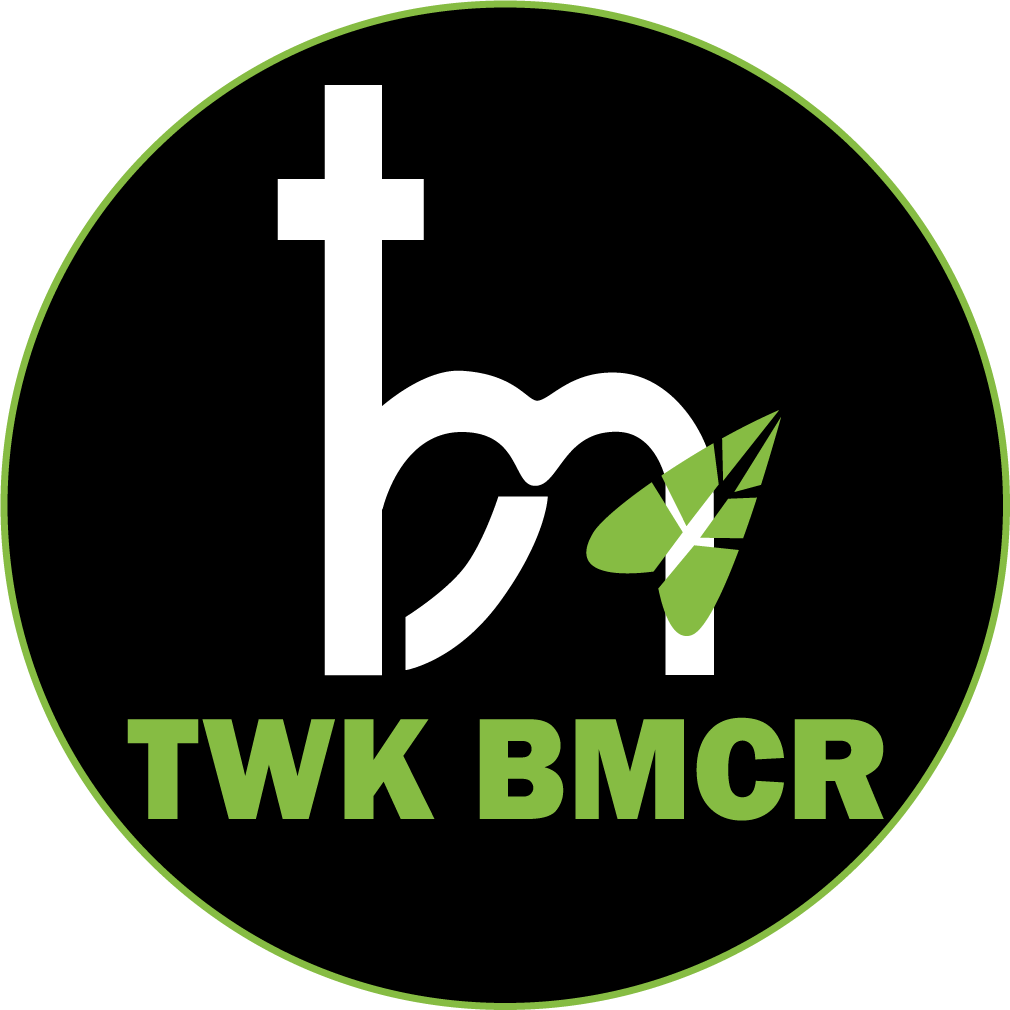 TWK BMCR