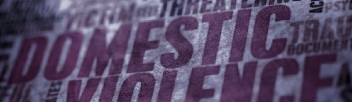 What is Domestic Violence?